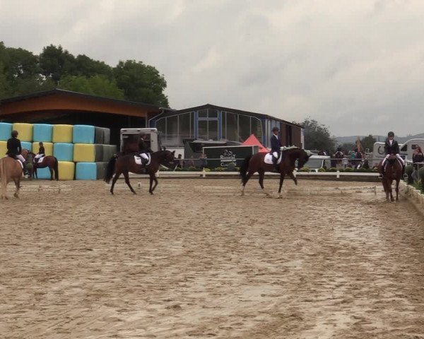 Reitturnier Bühren-Breckerfeld 2019