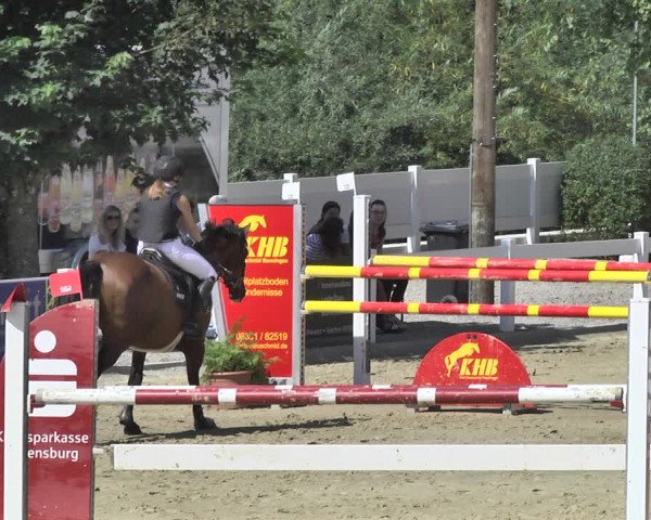 Reitturnier Hauerz 2019