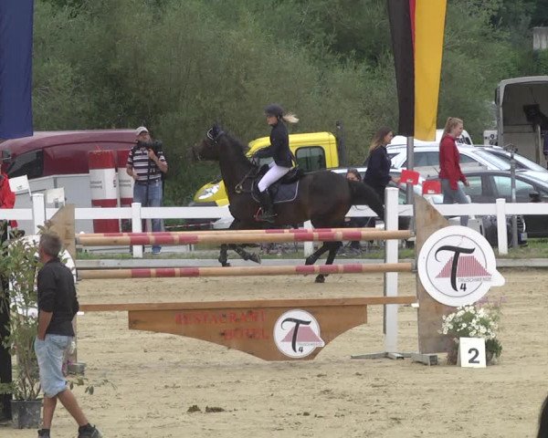 Reitturnier Hauerz 2019