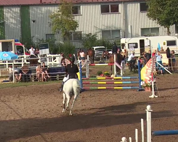 Reitturnier Demantsfürth/Mfr. 2019