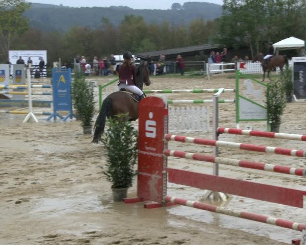 Reitturnier Bühren-Breckerfeld 2019