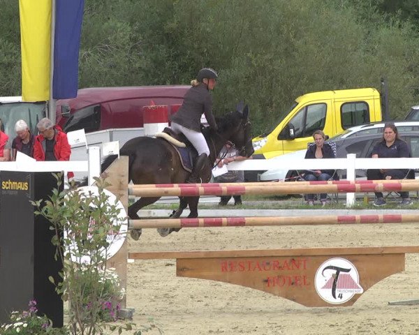 Reitturnier Hauerz 2019