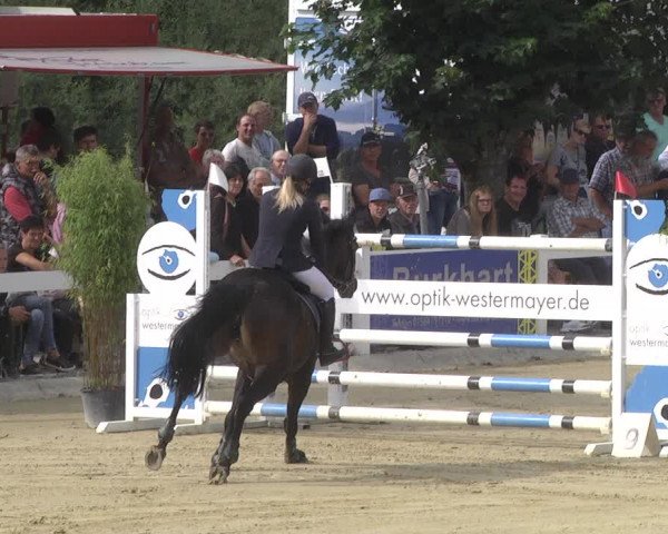 Reitturnier Hauerz 2019