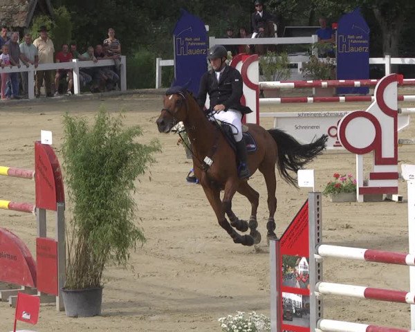 Reitturnier Hauerz 2019