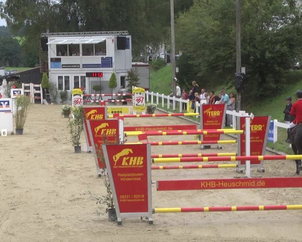 Reitturnier Hauerz 2019