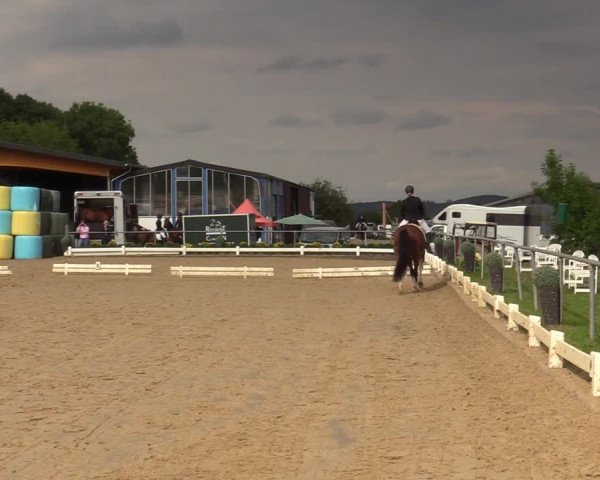Reitturnier Bühren-Breckerfeld 2019