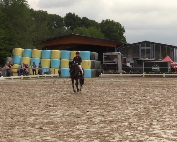 Reitturnier Bühren-Breckerfeld 2019