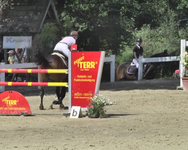 Reitturnier Hauerz 2019
