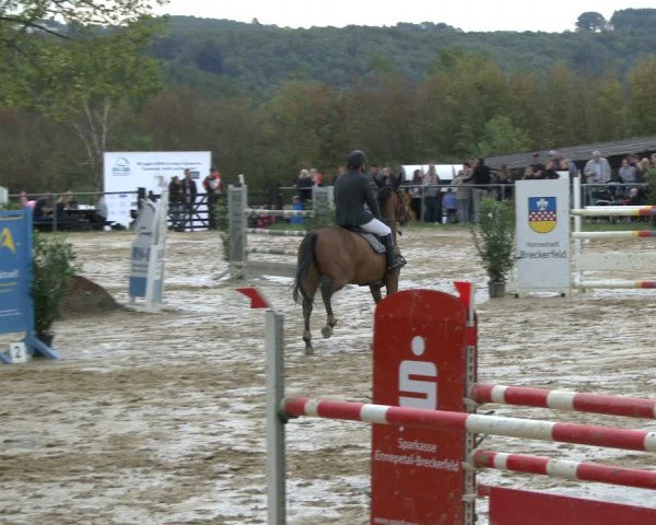 Reitturnier Bühren-Breckerfeld 2019