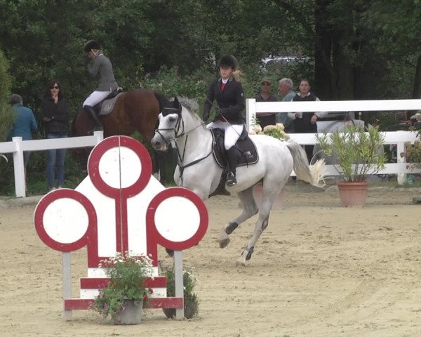 Reitturnier Hauerz 2019