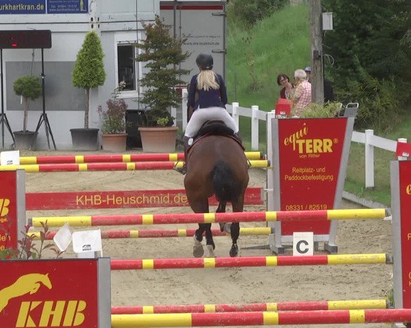 Reitturnier Hauerz 2019