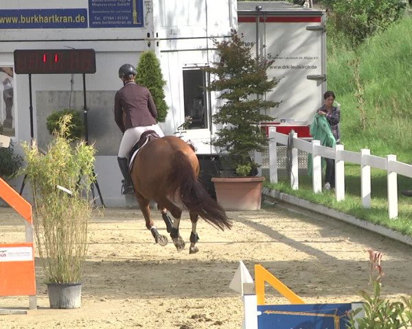 Reitturnier Hauerz 2019