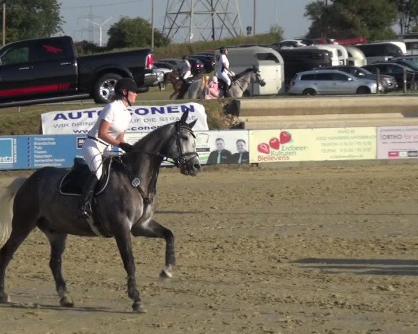 Reitturnier Heinsberg 2019