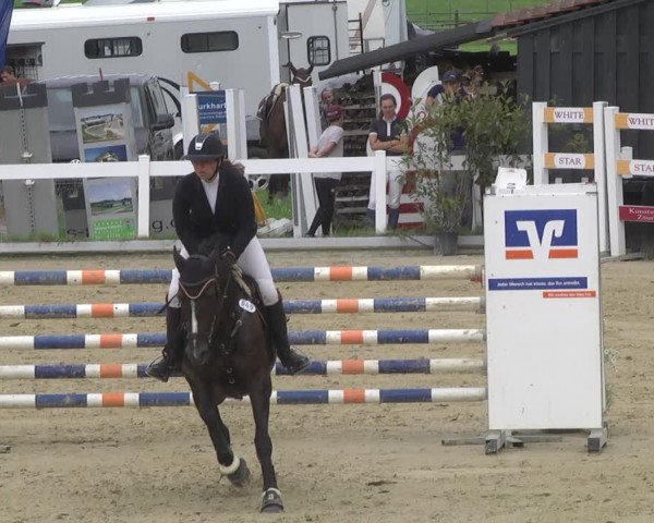 Reitturnier Hauerz 2019