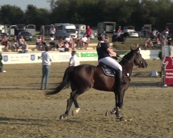 Reitturnier Heinsberg 2019