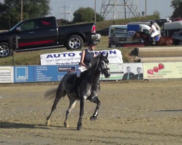 Reitturnier Heinsberg 2019