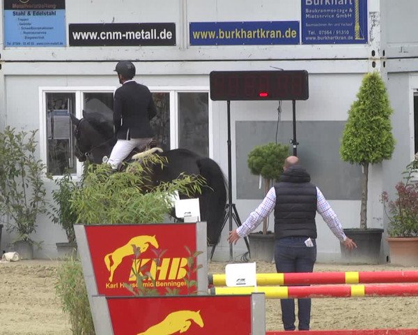 Reitturnier Hauerz 2019