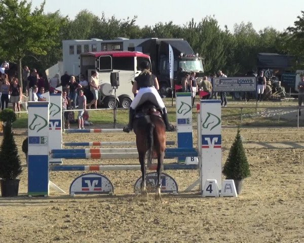 Reitturnier Heinsberg 2019