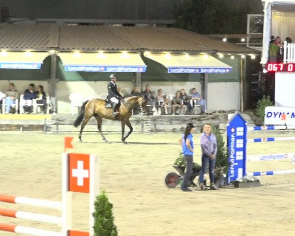 Reitturnier Humlikon 2019