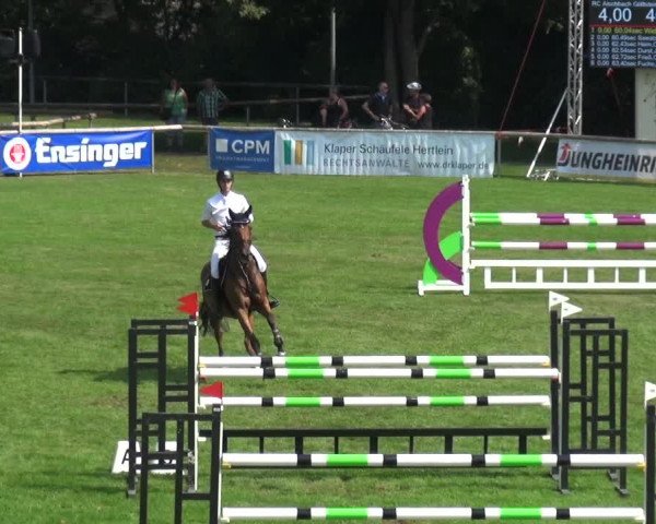 Reitturnier Bietigheim-Bissingen 2019