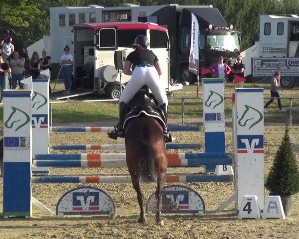 Reitturnier Heinsberg 2019
