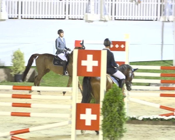 Reitturnier Humlikon 2019