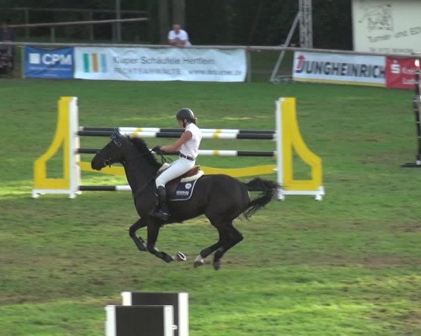 Reitturnier Bietigheim-Bissingen 2019