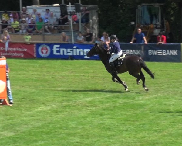 Reitturnier Bietigheim-Bissingen 2019