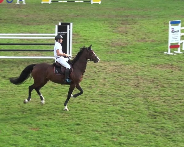 Reitturnier Bietigheim-Bissingen 2019