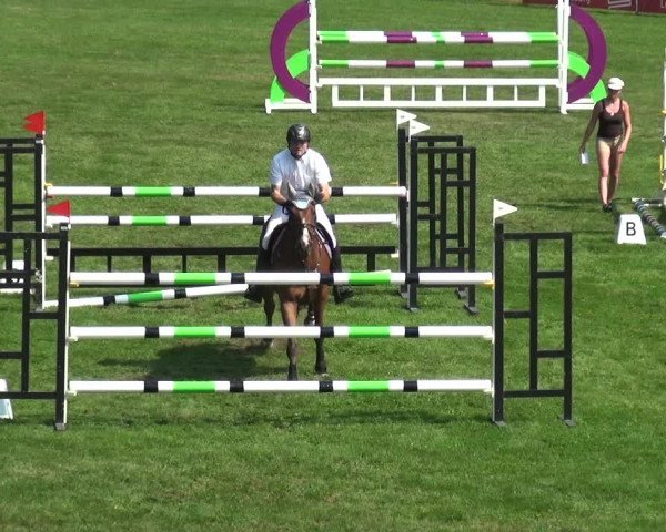 Reitturnier Bietigheim-Bissingen 2019