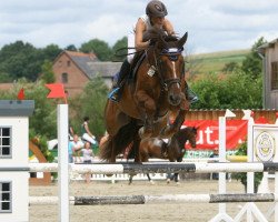 broodmare Cool Carrot (Oldenburg show jumper, 2008, from Calvaro Z)