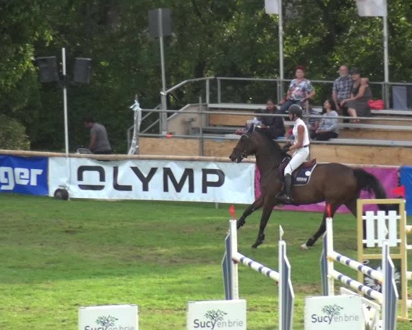 Reitturnier Bietigheim-Bissingen 2019