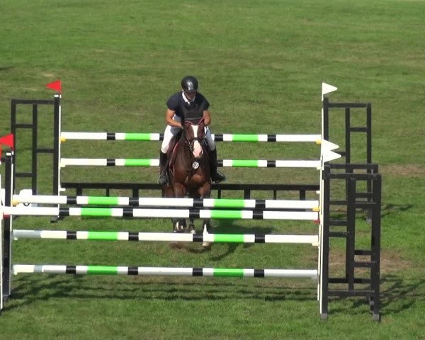 Reitturnier Bietigheim-Bissingen 2019