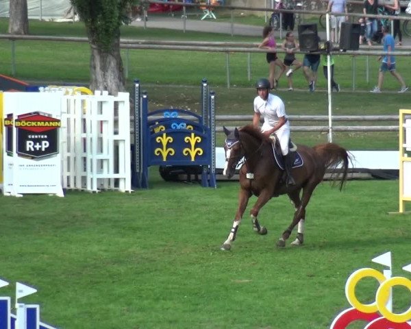 Reitturnier Bietigheim-Bissingen 2019