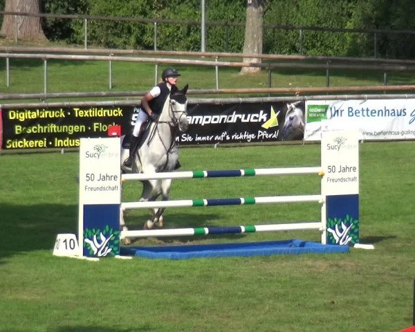 Reitturnier Bietigheim-Bissingen 2019