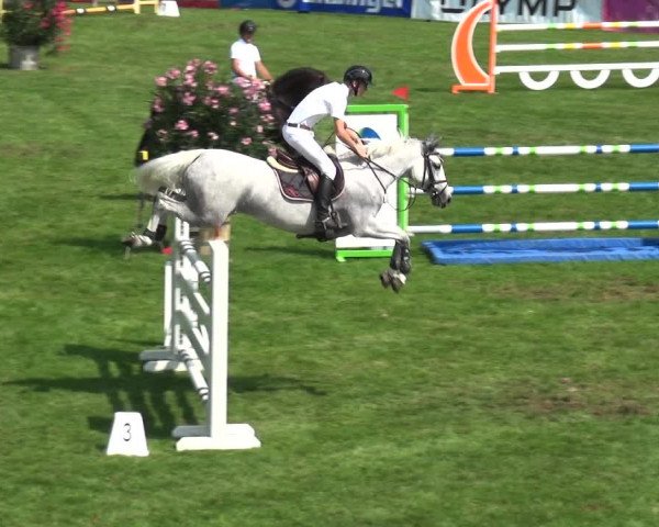 Reitturnier Bietigheim-Bissingen 2019