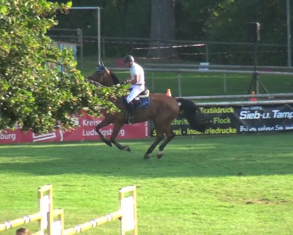 Reitturnier Bietigheim-Bissingen 2019