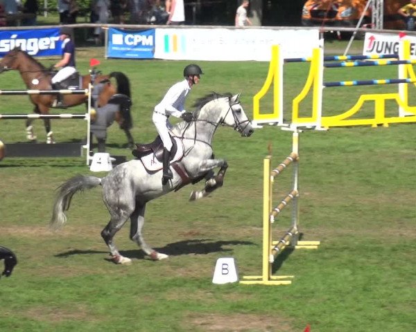 Reitturnier Bietigheim-Bissingen 2019