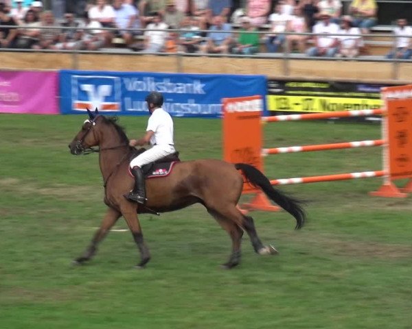 Reitturnier Bietigheim-Bissingen 2019