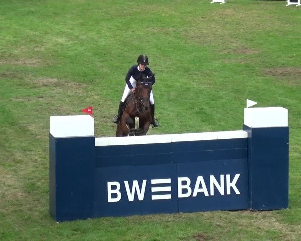 Reitturnier Bietigheim-Bissingen 2019