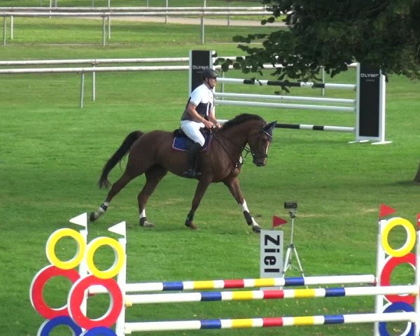 Reitturnier Bietigheim-Bissingen 2019