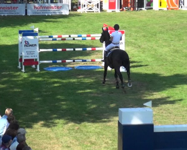 Reitturnier Bietigheim-Bissingen 2019