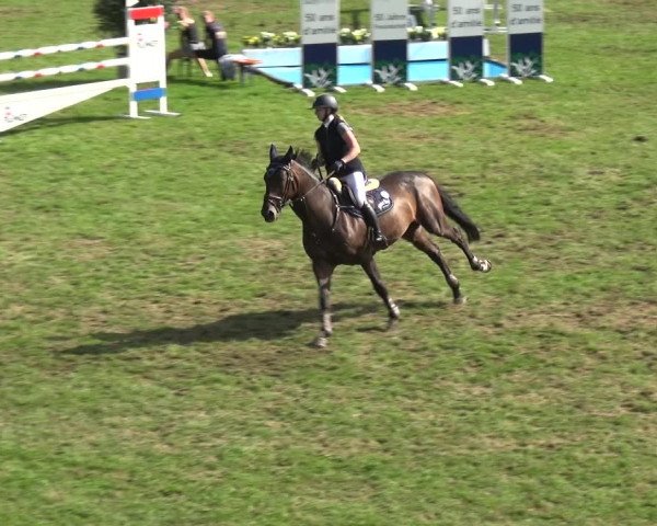 Reitturnier Bietigheim-Bissingen 2019