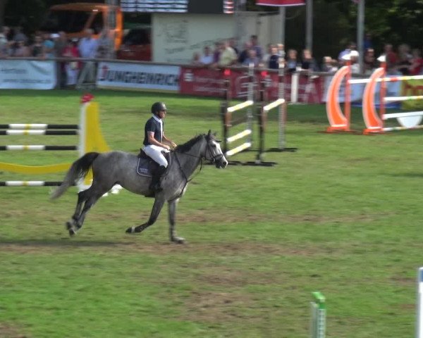 Reitturnier Bietigheim-Bissingen 2019