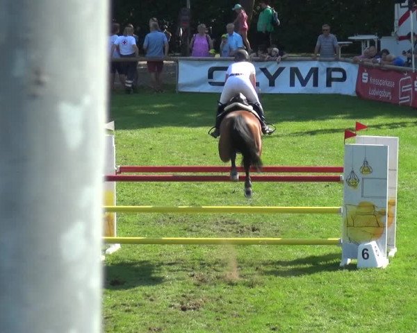 Reitturnier Bietigheim-Bissingen 2019