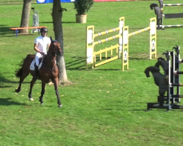 Reitturnier Bietigheim-Bissingen 2019