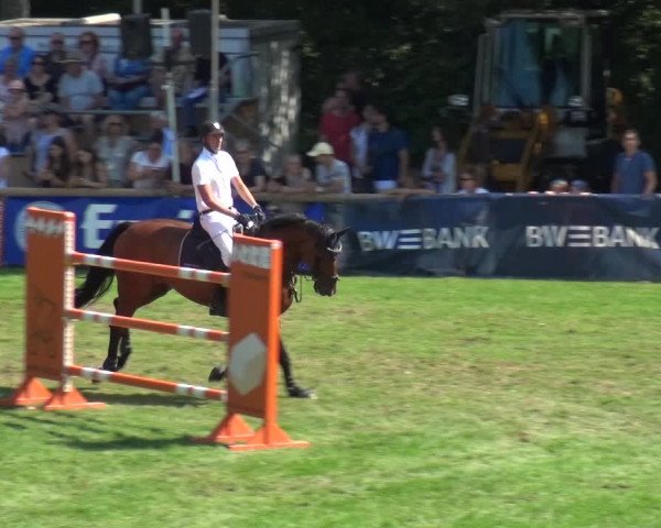Reitturnier Bietigheim-Bissingen 2019