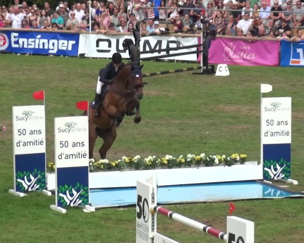 Reitturnier Bietigheim-Bissingen 2019