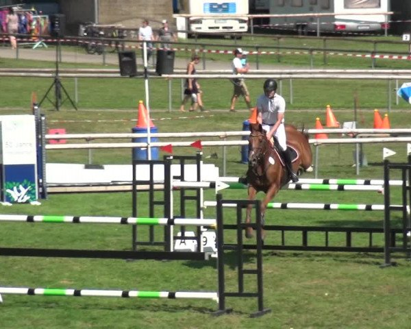 Reitturnier Bietigheim-Bissingen 2019