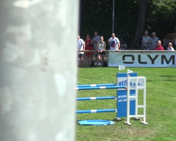 Reitturnier Bietigheim-Bissingen 2019